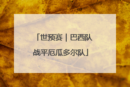 世预赛｜巴西队战平厄瓜多尔队