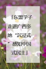 东盟学子走进广西多地“沉浸式”感知中国式民主