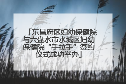 东昌府区妇幼保健院与六盘水市水城区妇幼保健院“手拉手”签约仪式成功举办