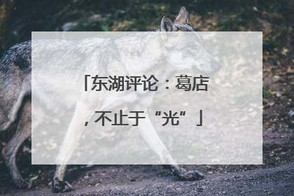 东湖评论：葛店，不止于“光”