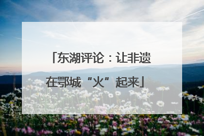 东湖评论：让非遗在鄂城“火”起来
