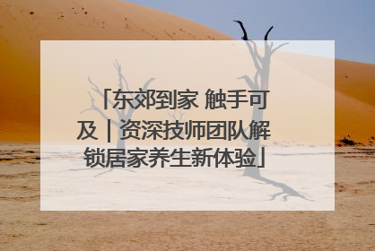东郊到家 触手可及｜资深技师团队解锁居家养生新体验