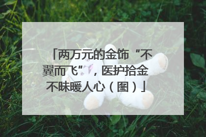 两万元的金饰“不翼而飞”，医护拾金不昧暖人心（图）