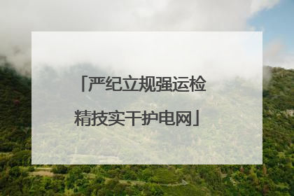 严纪立规强运检 精技实干护电网