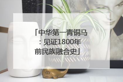 中华第一青铜马：见证1800年前民族融合史