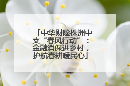 中华财险株洲中支“春风行动”：金融消保进乡村，护航春耕暖民心