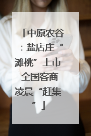 中原农谷：盐店庄“滩桃”上市 全国客商凌晨“赶集”