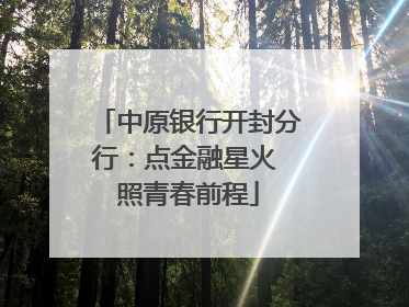 中原银行开封分行：点金融星火 照青春前程