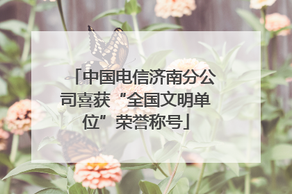 中国电信济南分公司喜获“全国文明单位”荣誉称号