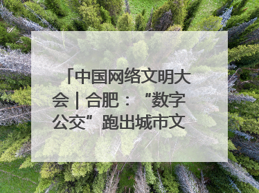 中国网络文明大会｜合肥：“数字公交”跑出城市文明新速度