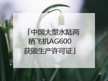 中国大型水陆两栖飞机AG600获颁生产许可证