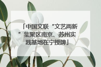 中国文联“文艺两新”集聚区南京、苏州实践基地在宁授牌