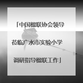 中国楹联协会领导莅临广水市实验小学调研指导楹联工作