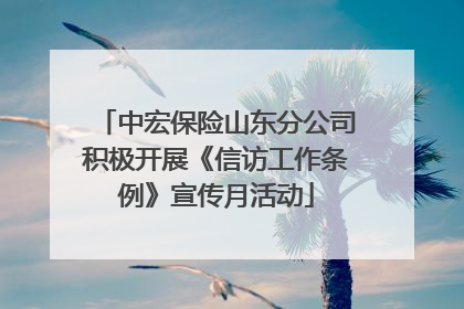 中宏保险山东分公司积极开展《信访工作条例》宣传月活动