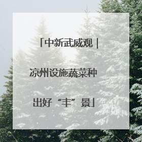 中新武威观｜凉州设施蔬菜种出好“丰”景