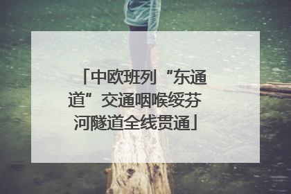 中欧班列“东通道”交通咽喉绥芬河隧道全线贯通