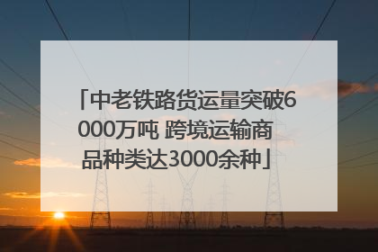 中老铁路货运量突破6000万吨 跨境运输商品种类达3000余种