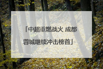 中超重燃战火 成都蓉城继续冲击榜首