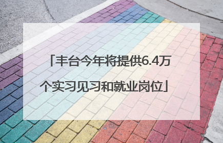丰台今年将提供6.4万个实习见习和就业岗位