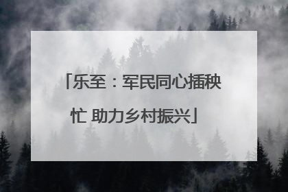 乐至：军民同心插秧忙 助力乡村振兴