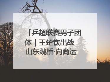 乒超联赛男子团体｜王楚钦出战 山东魏桥·向尚运动胜四川丰谷