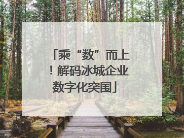 乘“数”而上！解码冰城企业数字化突围