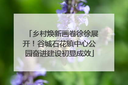 乡村焕新画卷徐徐展开！谷城石花镇中心公园奋进建设初显成效