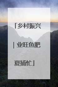 乡村振兴｜业旺鱼肥夏捕忙