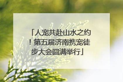 人宠共赴山水之约！第五届济南携宠徒步大会圆满举行