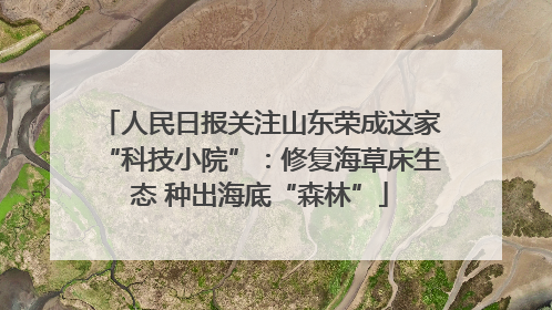 人民日报关注山东荣成这家“科技小院”：修复海草床生态 种出海底“森林”