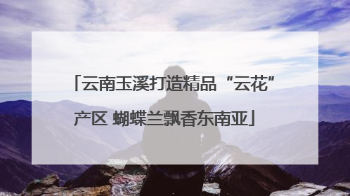 云南玉溪打造精品“云花”产区 蝴蝶兰飘香东南亚