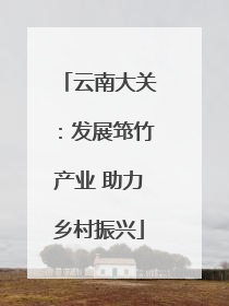 云南大关：发展筇竹产业 助力乡村振兴