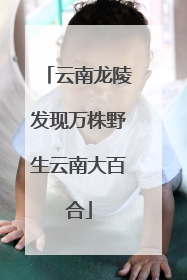云南龙陵发现万株野生云南大百合