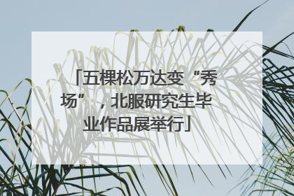 五棵松万达变“秀场”，北服研究生毕业作品展举行