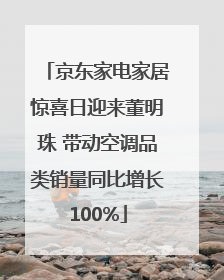 京东家电家居惊喜日迎来董明珠 带动空调品类销量同比增长100%