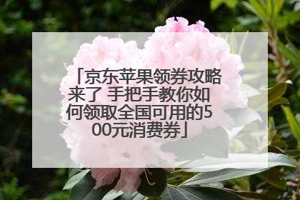 京东苹果领券攻略来了 手把手教你如何领取全国可用的500元消费券