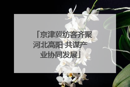京津冀纺客齐聚河北高阳 共谋产业协同发展
