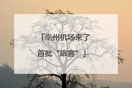 亳州机场来了首批“旅客”