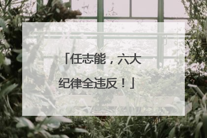 任志能，六大纪律全违反！