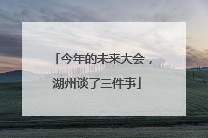 今年的未来大会，湖州谈了三件事