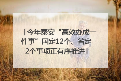 今年泰安“高效办成一件事”国定12个、省定2个事项正有序推进