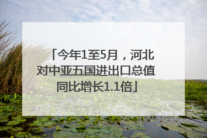 今年1至5月，河北对中亚五国进出口总值同比增长1.1倍