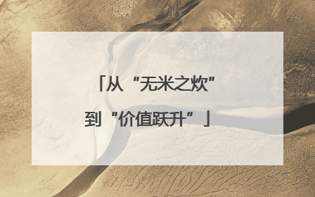 从“无米之炊”到“价值跃升”