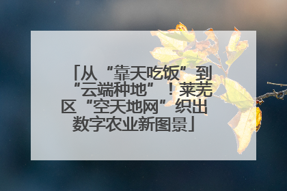 从“靠天吃饭”到“云端种地”！莱芜区“空天地网”织出数字农业新图景