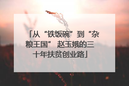 从“铁饭碗”到“杂粮王国” 赵玉娥的三十年扶贫创业路