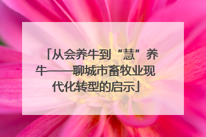 从会养牛到“慧”养牛——聊城市畜牧业现代化转型的启示