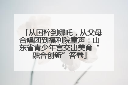 从国粹到哪吒，从父母合唱团到福利院童声：山东省青少年宫交出美育“融合创新”答卷