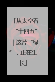 从太空看“十四五”｜这片“绿”，正在生长