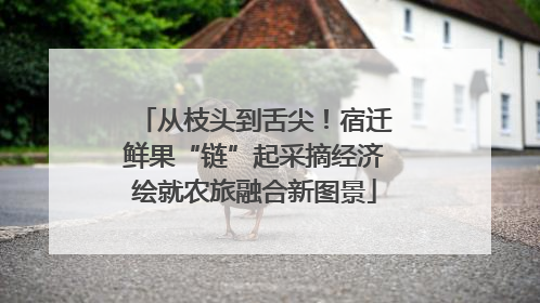 从枝头到舌尖！宿迁鲜果“链”起采摘经济绘就农旅融合新图景