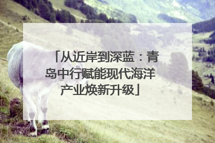 从近岸到深蓝：青岛中行赋能现代海洋产业焕新升级